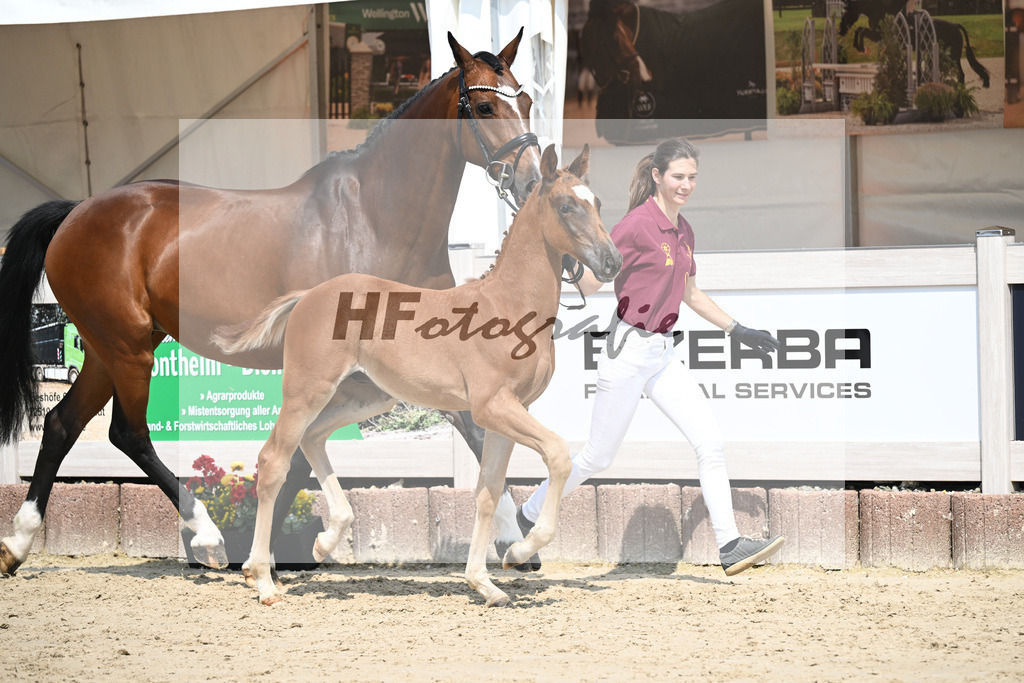 Arezzo Man x Celentano_HF_Moldvai_12250429 | hf-fotografie - Realisiert mit Pictrs.com