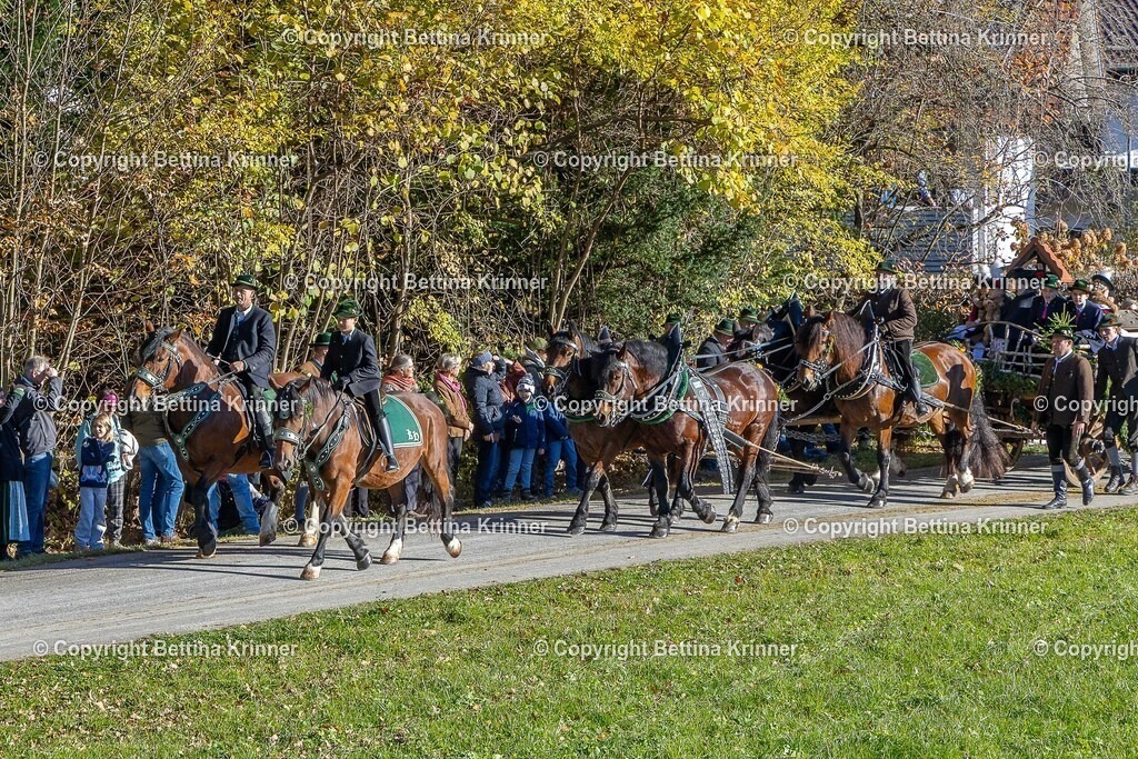 LBT25-506 | foto-bettina-krinner - Realisiert mit Pictrs.com