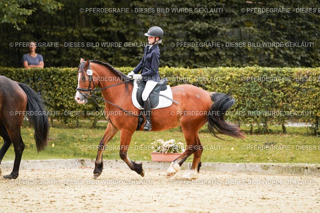 DSC00082 | Pferdegrafie