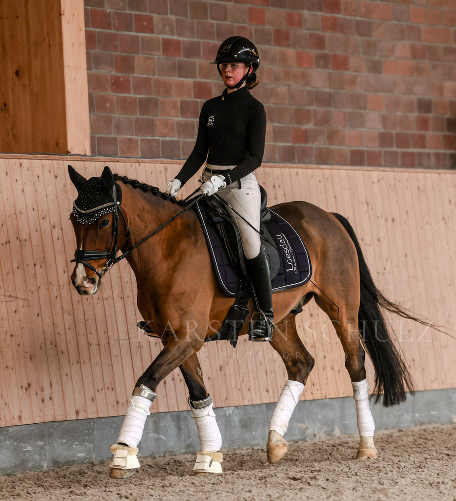 1B3A5068 | Reitsport Reiten