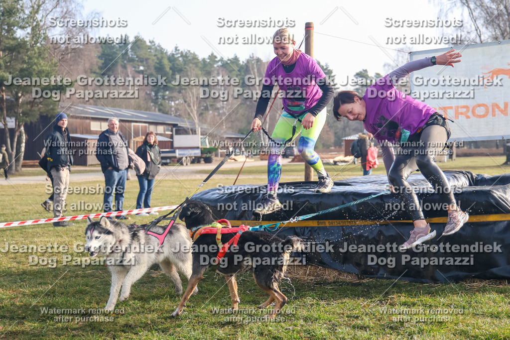 Dog Paparazzi - Strongdog North Mrz26-56 | Dog Paparazzi Jeanette Grottendiek Fotografie & Videografie - Realisiert mit Pictrs.com