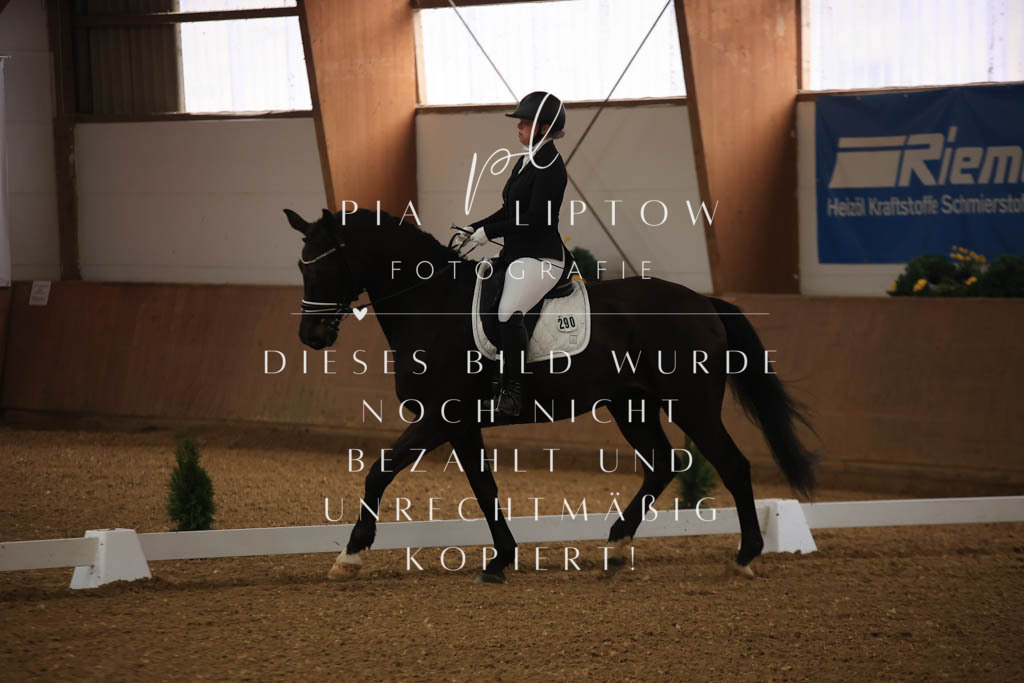 IMGT9837 | pl-fotografie