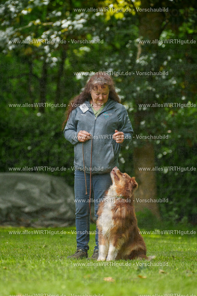 @allesWIRTHgut_Tierfotografie - www.allesWIRTHgut.de - 7R500769 | Professionelle Tierfotografie in Mönchengladbach von Daniel Wirth (allesWIRTHgut). Liebevolle & natürliche Bilder von Hunden & Katzen für unvergessliche Erinnerungen.