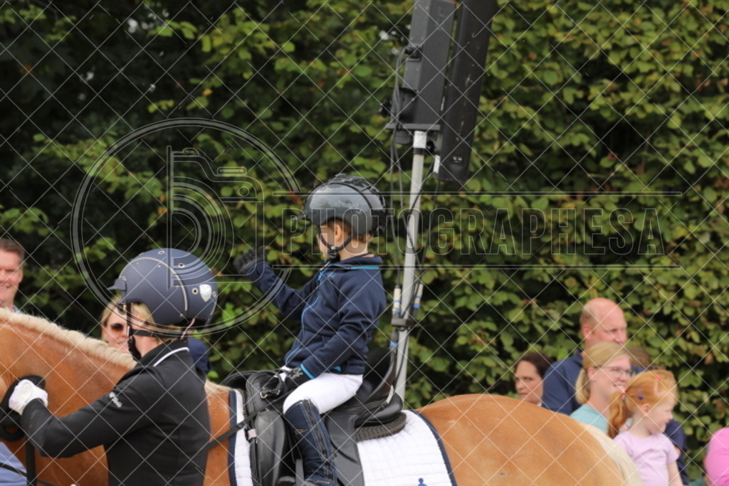IMG_5383 | photographesa-joergens - Realisiert mit Pictrs.com