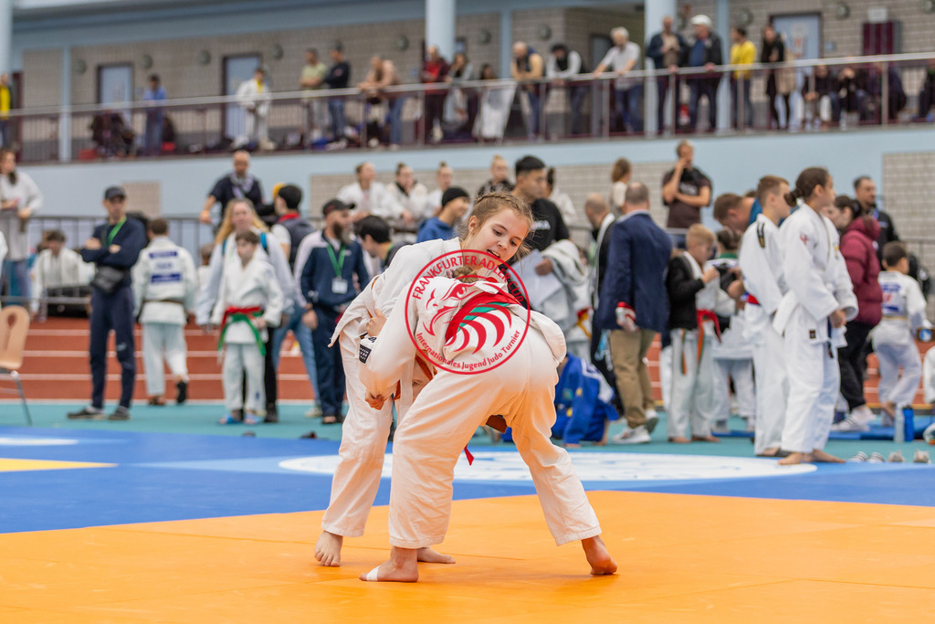 Internationaler Adler Cup 2024 | Foto vom Internationalen Adler Cup Judo Turnier im Sport- und Freizeitzentrum Kalbach im Oktober 2024 - Realisiert mit Pictrs.com