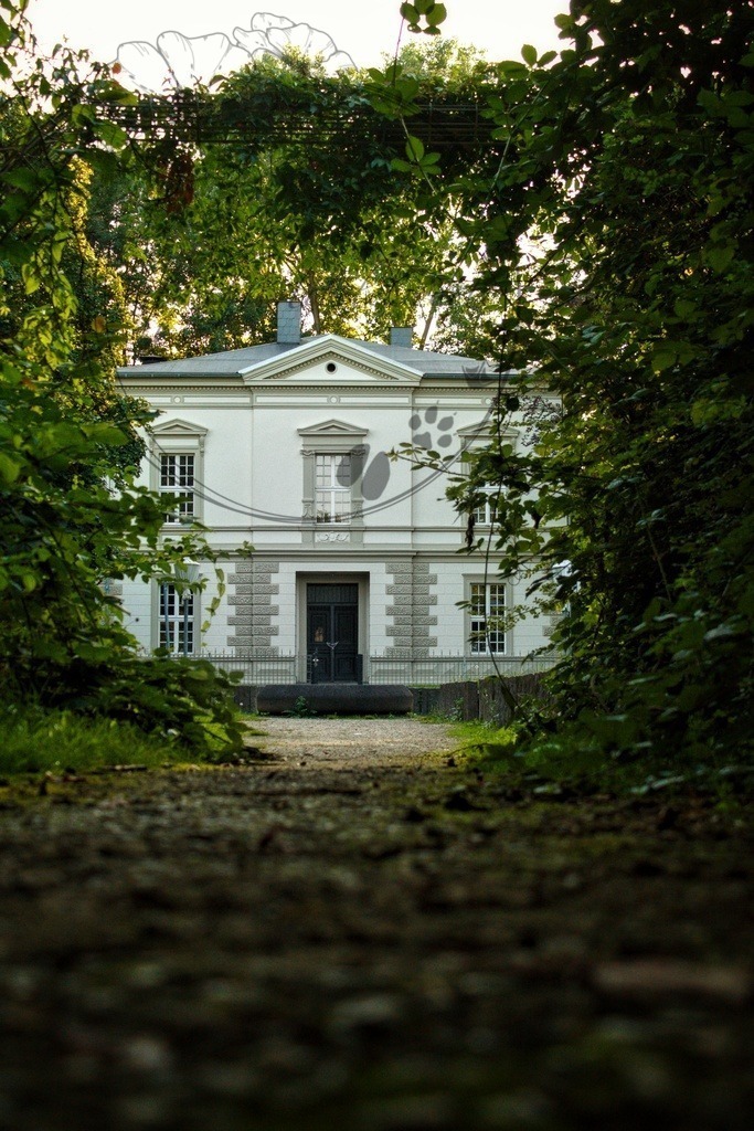 IMG_6153-01 | only.this.little.world - Realisiert mit Pictrs.com