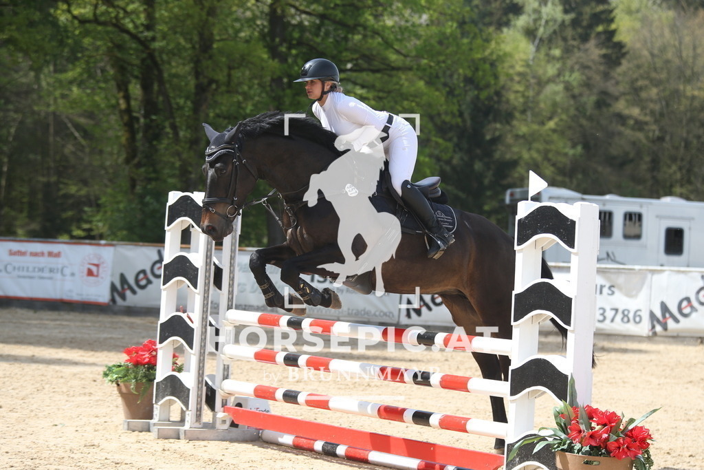 AS8V6233 | Willkommen bei Brunnmayr - Design & Fotografie – Ihrem Spezialisten für Reitturniere und Pferdeveranstaltungen in Oberösterreich, Salzburg und Bayern! Seit über 17 Jahren sind wir leidenschaftlich dabei.