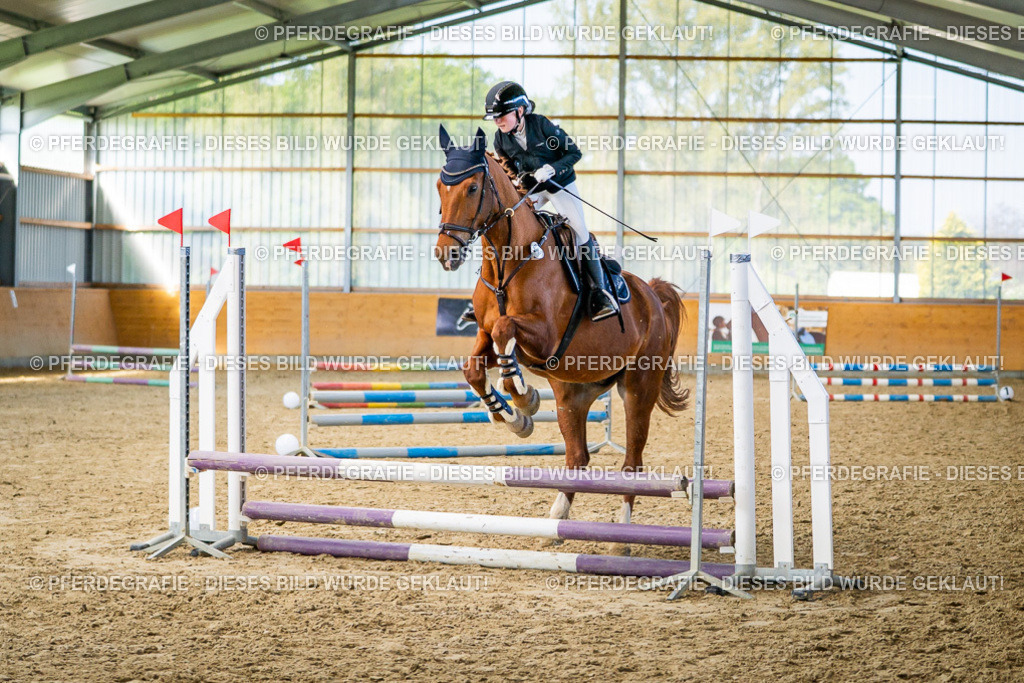 DSC01315 | Pferdegrafie