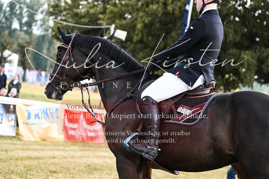 DSC_7648 | Pferde- und Turnierfotografie in Westsachsen. Pferdeportraits, Auftragszeichnungen und intuitive Kunst.