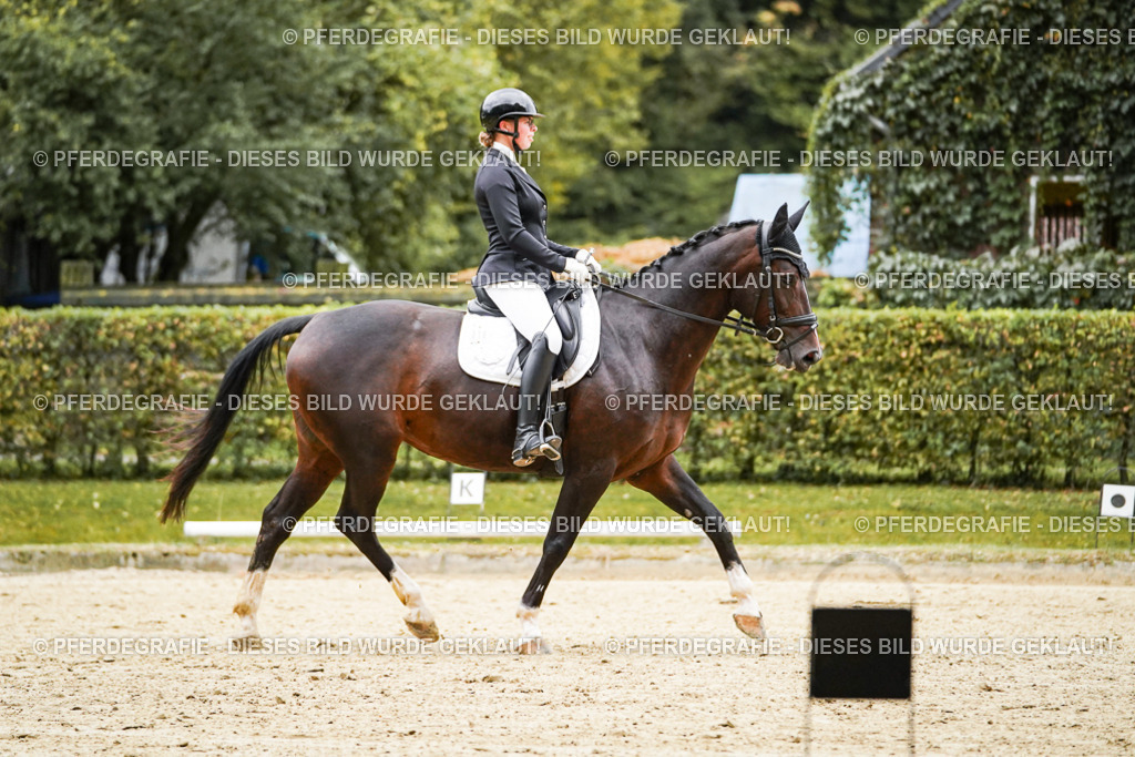 DSC06791 | Pferdegrafie