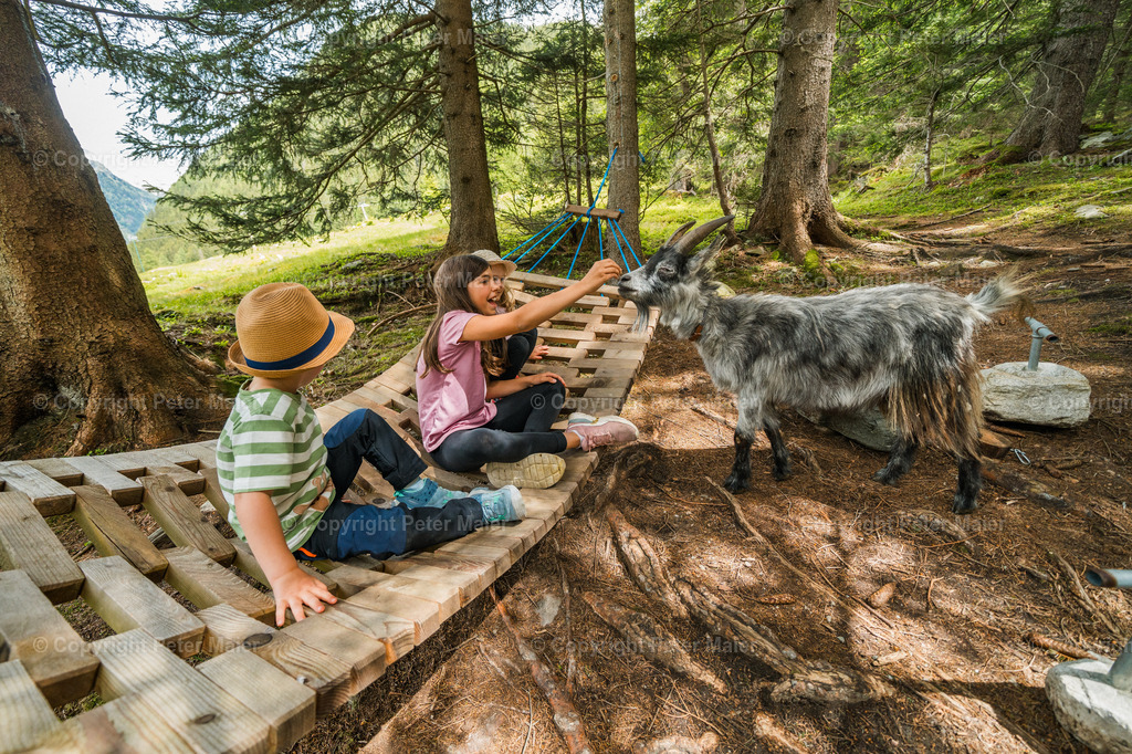 Rent_a_Goas_2024-781 | piet_flosse