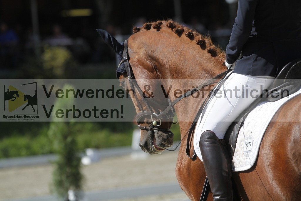 _MG_0699 | equestrian-live-com