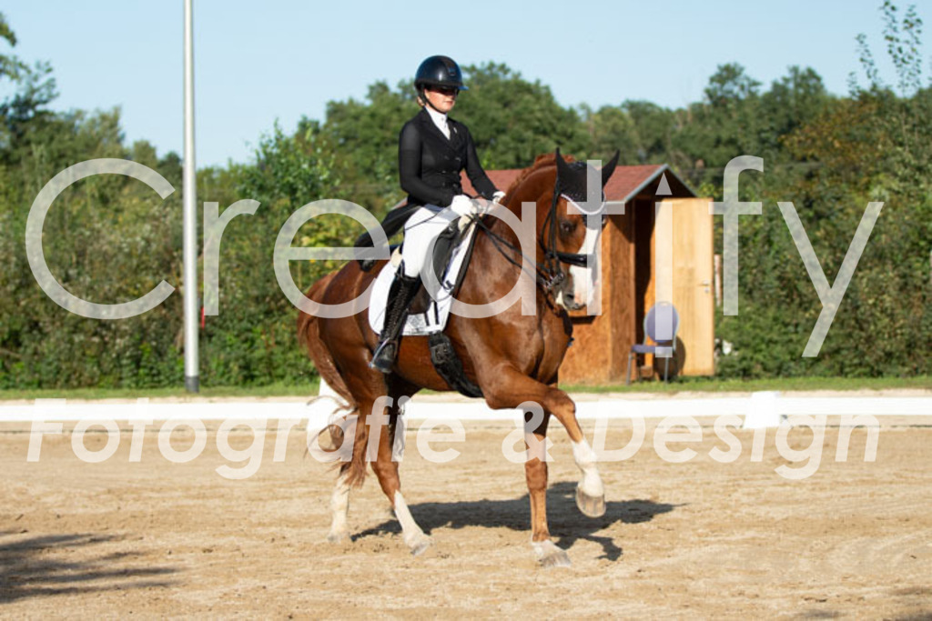 IMG_5857 | Creatify Fotografie