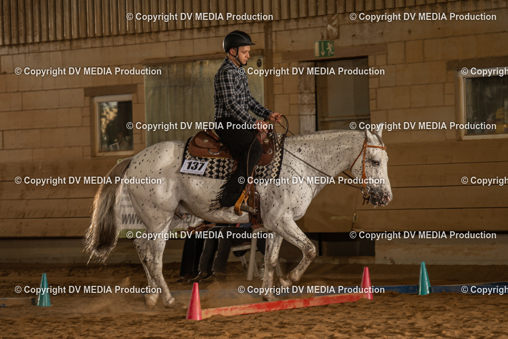 NID02485 | dv-media-shop - Realisiert mit Pictrs.com