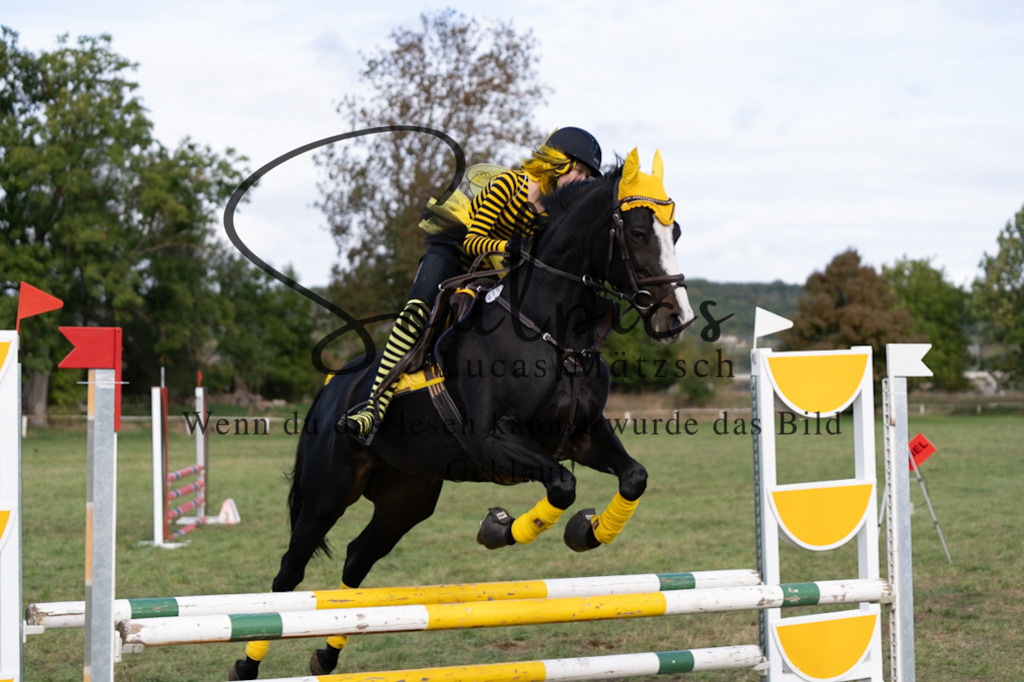 A7V06525 | Pferdefotograf