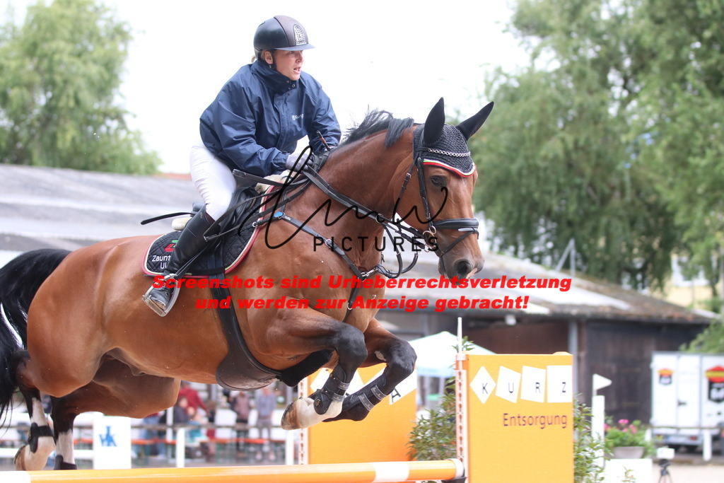 IMG_8358 | lmwpictures - Realisiert mit Pictrs.com