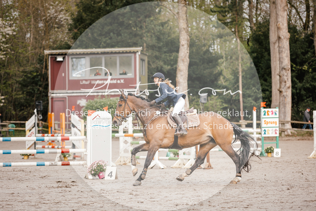 3I6A3161 | Stimmungsvolle Portraits und Reitsportfotografie im Ruhrgebiet und im Münsterland.

Pferdefotografie, Hundefotografie, Tierfotografie, Reportagen, Portraits von Tier und Mensch, Turnierfotografie in Bochum, Recklinghausen, Marl, Haltern am See, Dülmen.. - Realisiert mit Pictrs.com