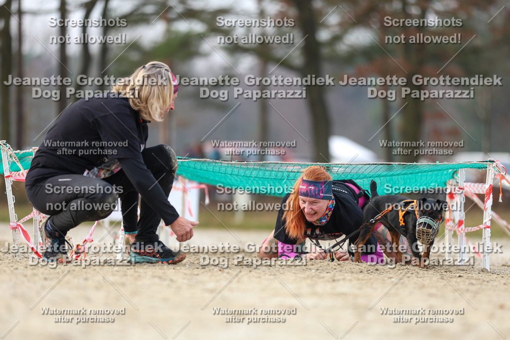 Dog Paparazzi - Strongdog North Mrz26-4307 | Dog Paparazzi Jeanette Grottendiek Fotografie & Videografie - Realisiert mit Pictrs.com