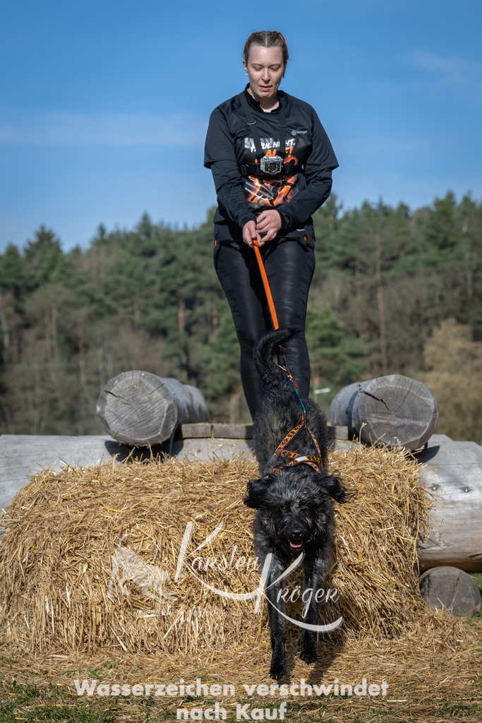 0920_ZZ92649 | kk-dogfotos