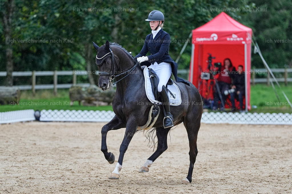 8_1-212-Klasse S_  -StoibPH-3937 | working equitationturnier fotograf videograf stoibphotography marixx film working equitation deutschland reitsport turnierfotografie eventfotografie equestrian events