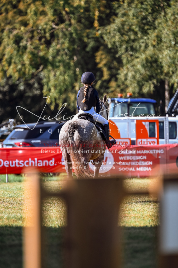 DSC_1176 | Pferde- und Turnierfotografie in Westsachsen. Pferdeportraits, Auftragszeichnungen und intuitive Kunst.