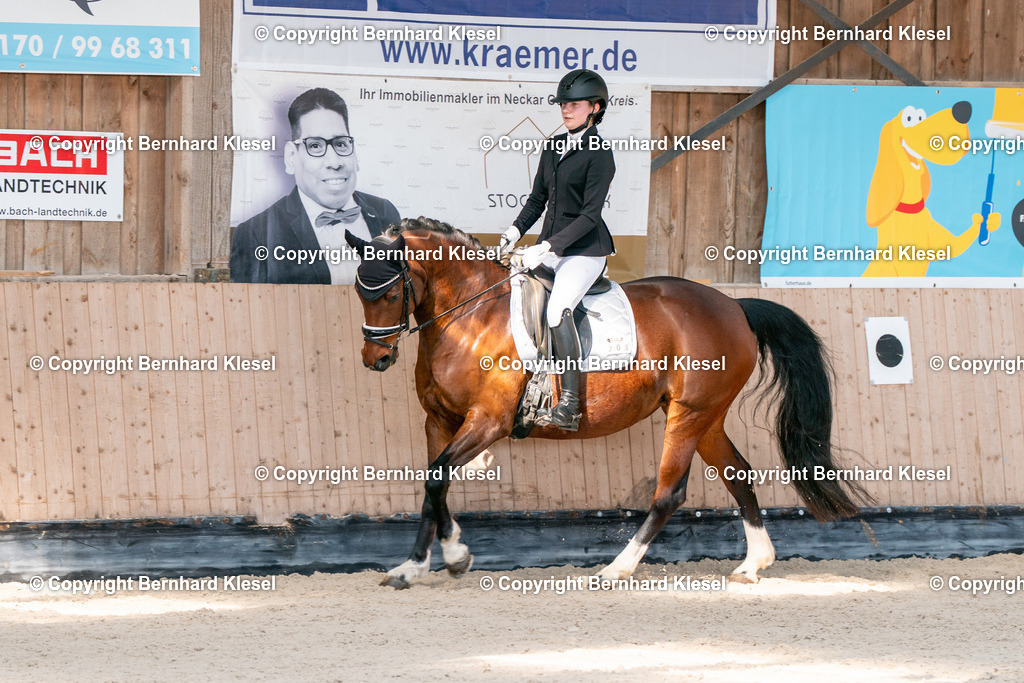 2A902495 | foto-team-bernhard - Realisiert mit Pictrs.com