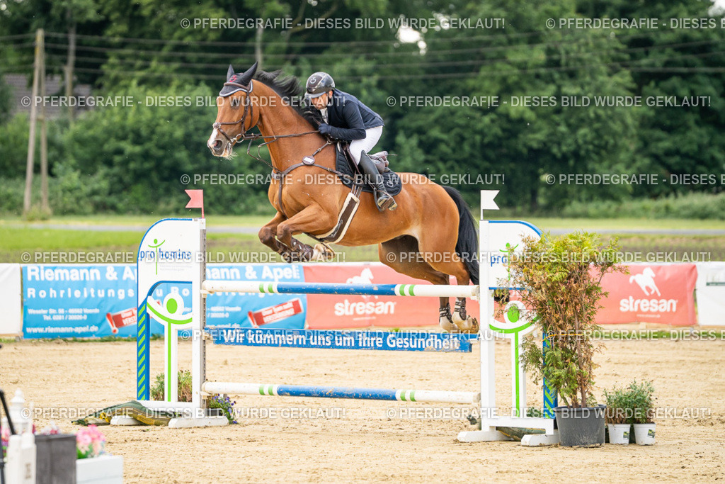 DSC06055 | Pferdegrafie