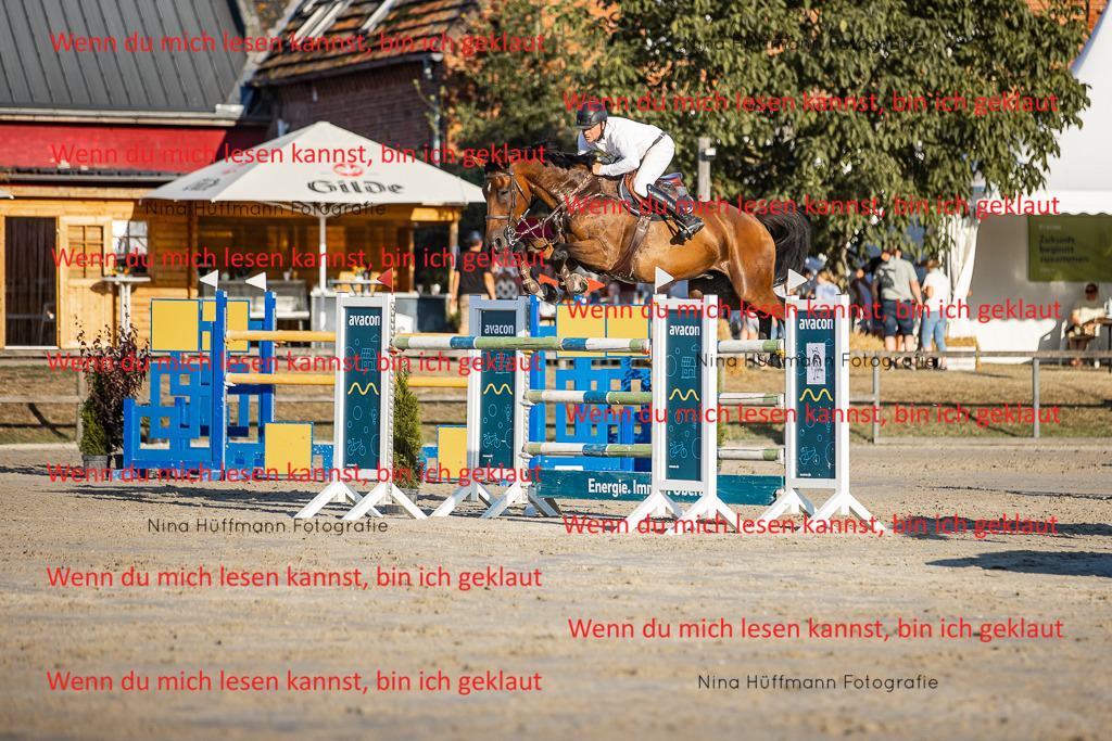 BK1A8863 | Turnierbilder Turnierfotos Nina Hüffmann Turnierfotografie Pferdefotografie Tierzeichnung Haustierzeichnung Pferdezeichnung Hundezeichnung Videograf  - Realisiert mit Pictrs.com