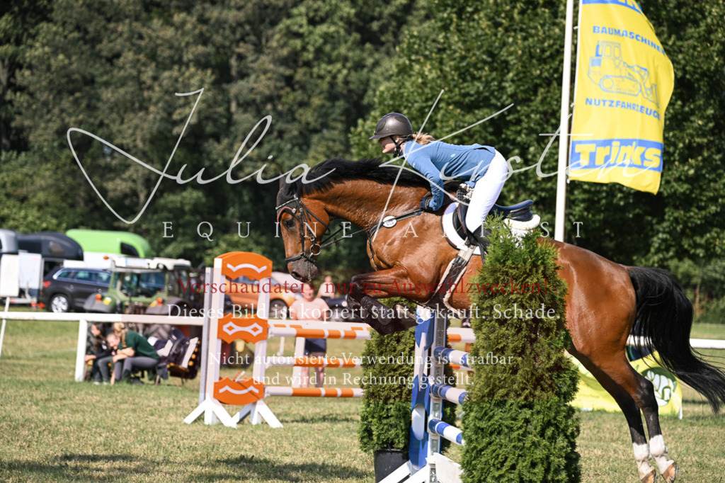 DSC_1141 | Pferde- und Turnierfotografie in Westsachsen. Pferdeportraits, Auftragszeichnungen und intuitive Kunst.