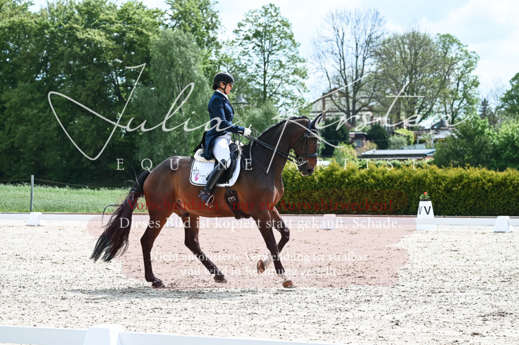 20230514_JK-Röhrsdorf-19-136 | Pferde- und Turnierfotografie in Westsachsen. Pferdeportraits, Auftragszeichnungen und intuitive Kunst.