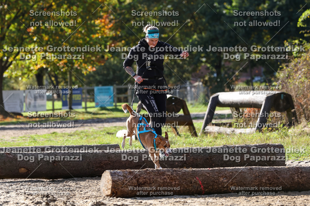 Dog Paparazzi - Strongdog 10-25-5966 | Dog Paparazzi Jeanette Grottendiek Fotografie & Videografie - Realisiert mit Pictrs.com