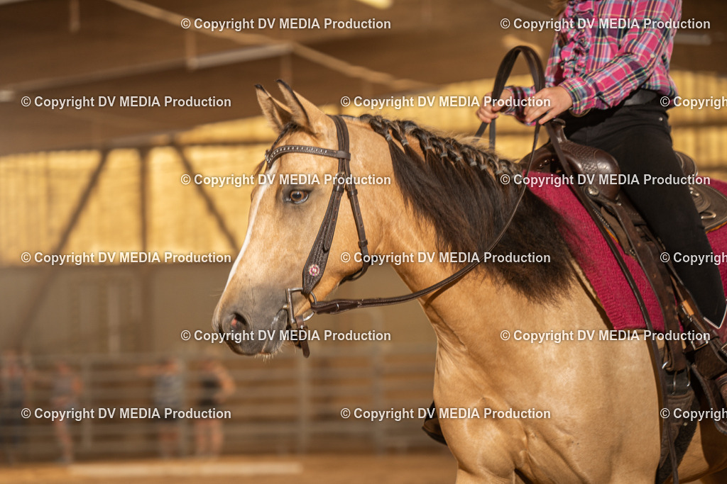 NID03574 | dv-media-shop - Realisiert mit Pictrs.com