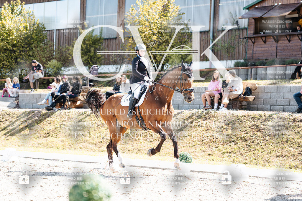 CK903242 | Turnierfotografie Pferdefotografie Trier Rheinland-Pfalz Pferdesport Reitsport Tierfotografie Sportfotografie Pferdevideo Pferdevideografie Equestrianvideography equestrianphotography  - Realisiert mit Pictrs.com