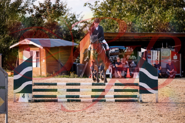2026_10_03_Siefer-Hof_161037_Z81_90153081 | Professionelle Reitsport-, Turnier- und Eventfotografie von Robert Broda. Galerien mit ausgewählten und bearbeiteten Bildern direkt online ansehen und bestellen.