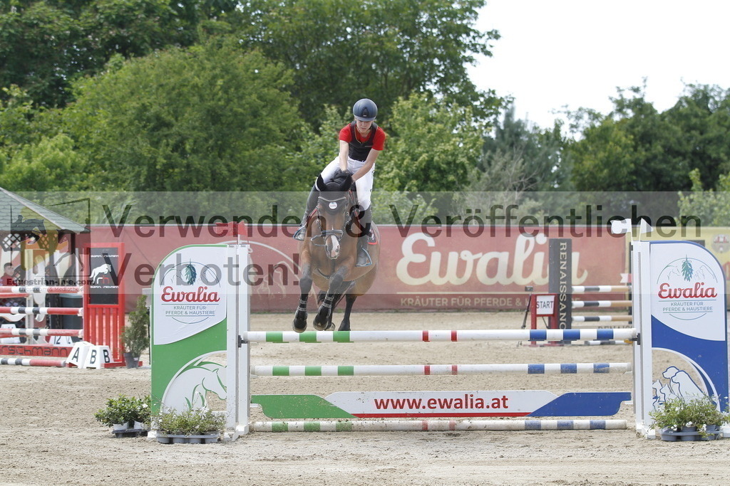 _MG_5531 | equestrian-live-com