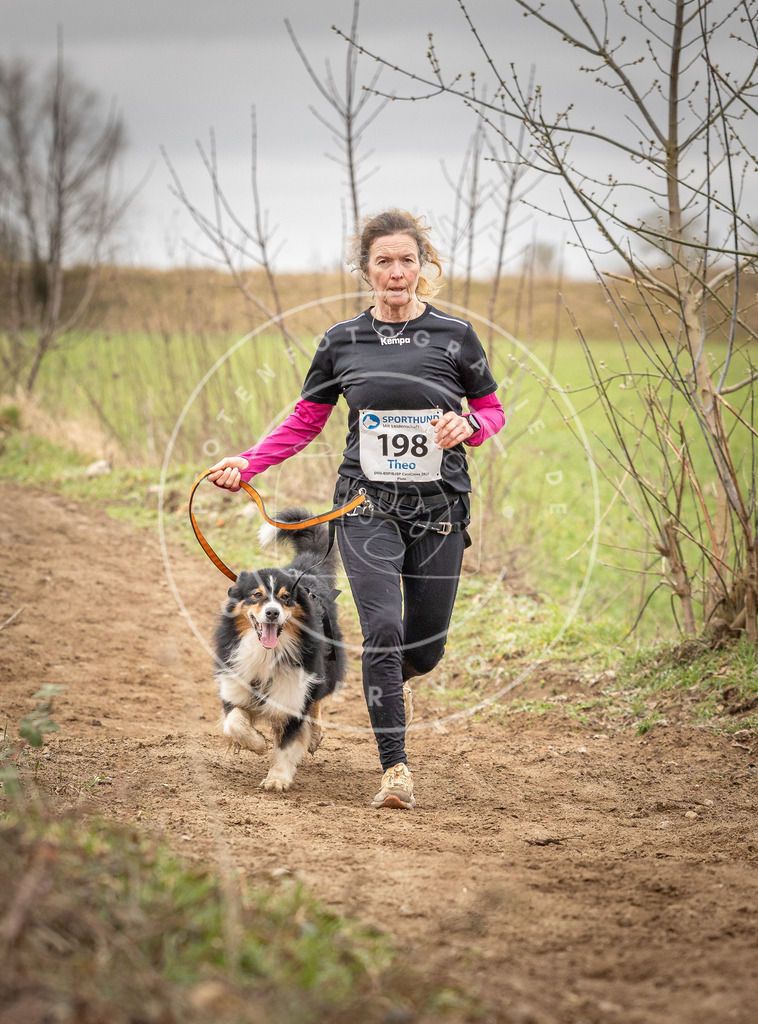 DV3A2427 | Hundefotografie, Tierfotograf, Pfotenfotografie, Fotoshooting Hund, Hunde Portrait, Hundesport, Hundeportraits, Heideshooting, Hunde, Sportfotograf, Hundefotograf, Turnierhundsport, THS,  - Realisiert mit Pictrs.com