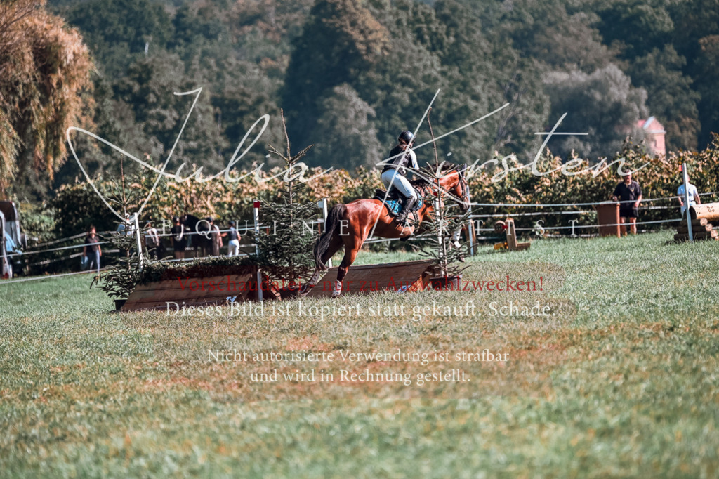 DSC_0736 | Pferde- und Turnierfotografie in Westsachsen. Pferdeportraits, Auftragszeichnungen und intuitive Kunst.