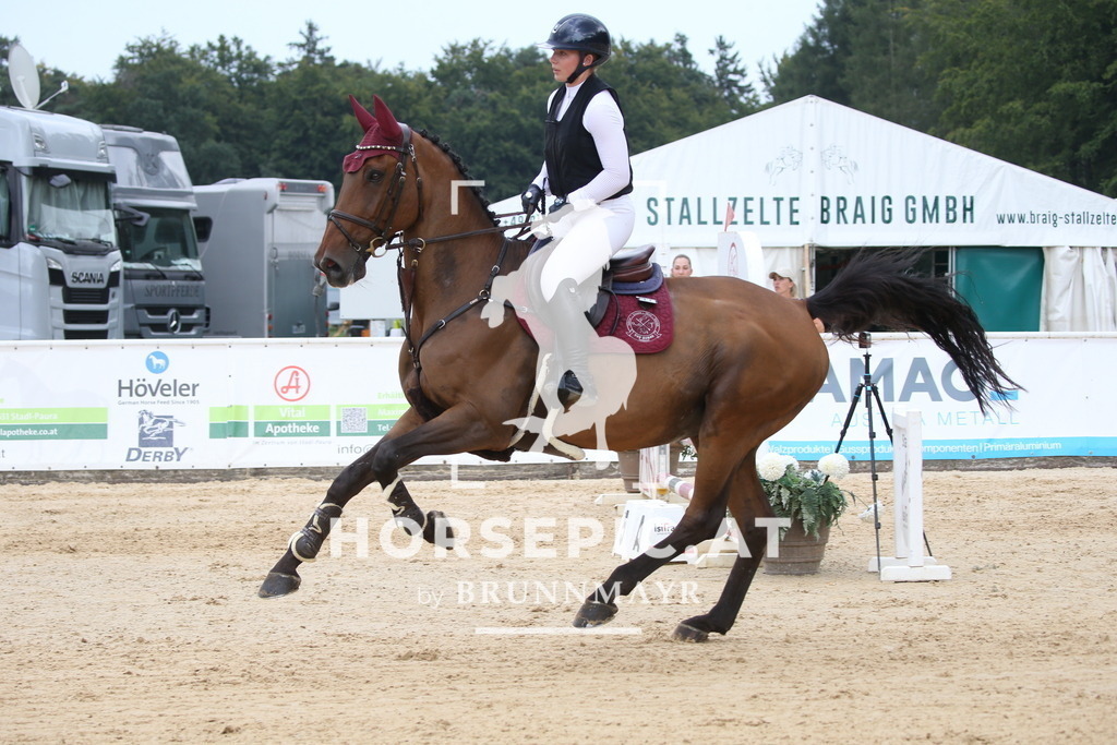 DL2Q4967 | Willkommen bei Brunnmayr - Design & Fotografie – Ihrem Spezialisten für Reitturniere und Pferdeveranstaltungen in Oberösterreich, Salzburg und Bayern! Seit über 17 Jahren sind wir leidenschaftlich dabei.
