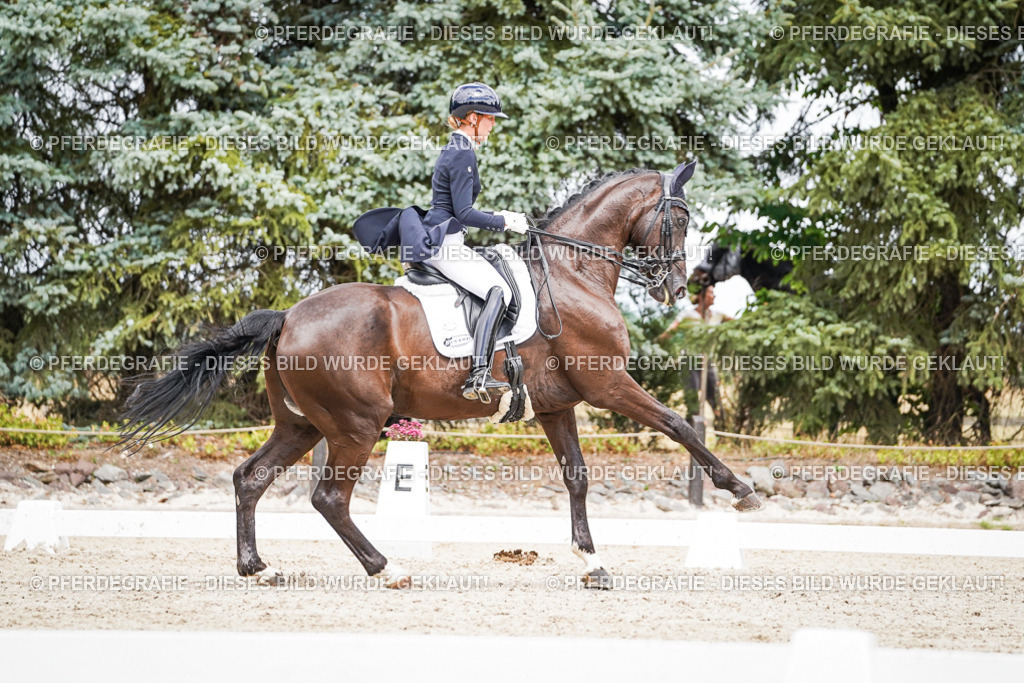 DSC06111 | Pferdegrafie