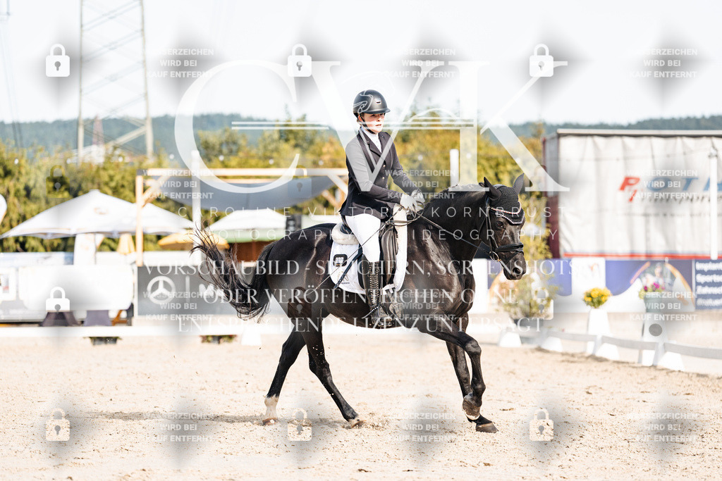CK905038 | Turnierfotografie Pferdefotografie Trier Rheinland-Pfalz Pferdesport Reitsport Tierfotografie Sportfotografie Pferdevideo Pferdevideografie Equestrianvideography equestrianphotography  - Realisiert mit Pictrs.com