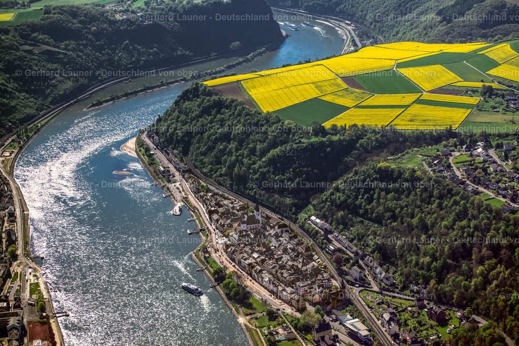 3490456 | Rhein bei St.Goar