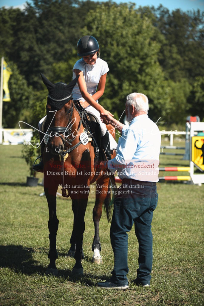 DSC_7326 | Pferde- und Turnierfotografie in Westsachsen. Pferdeportraits, Auftragszeichnungen und intuitive Kunst.