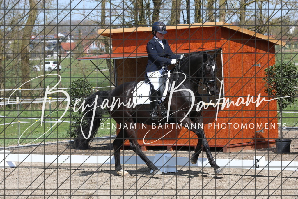 AZ2A5639 | Benjamin Bartmann Photomoments