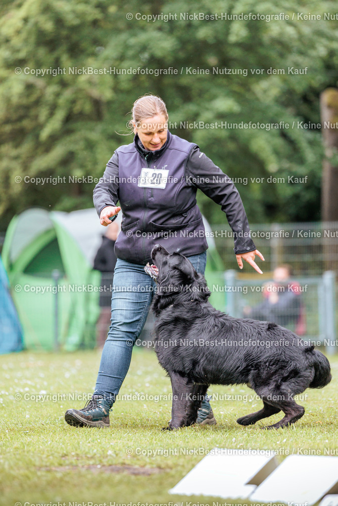 RO-Blumenthal-2026-Nickbest-Hundefotografie-4628 | Dein Hund! Dein Moment! Deine Erinnerungen! Hundefotografie in Bremen Blumenthal. Ich fange die besonderen Momente deines Vierbeiners ein – ob Indoor mit Blitzanlage oder in der freien Natur. Sicher dir dein Moment und dein Termin für eure Erinnerungen.