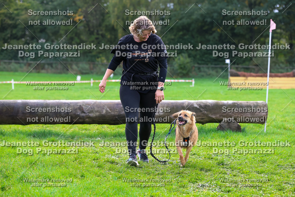 Dog Paparazzi -  SD1026-2136 | Dog Paparazzi Jeanette Grottendiek Fotografie & Videografie - Realisiert mit Pictrs.com