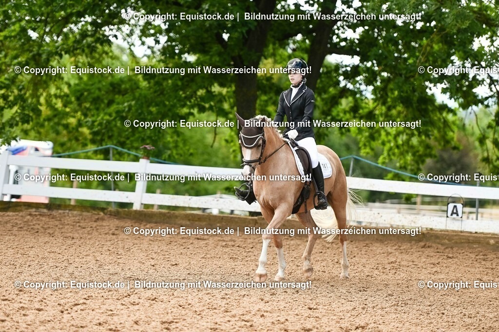 20230716_04_Dressurreiterprüfung Kl.A_0337 | equistock