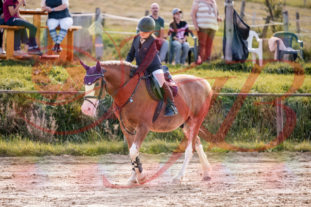 2026_10_03_Siefer-Hof_144530_Z81_21094186 | Professionelle Reitsport-, Turnier- und Eventfotografie von Robert Broda. Galerien mit ausgewählten und bearbeiteten Bildern direkt online ansehen und bestellen.