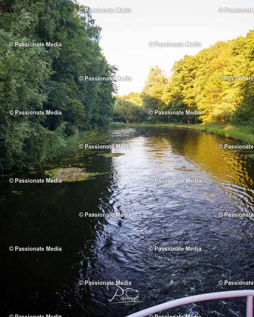 DSC08817 | Passionate Media, dein Fotograf aus Brandenburg, Märkisch Oderland, im Bereich Motorsport, Autos und Motorräder sowie Events und auch Hunde. Shootings oder auch Eventbegleitungen können bei mir gebucht we