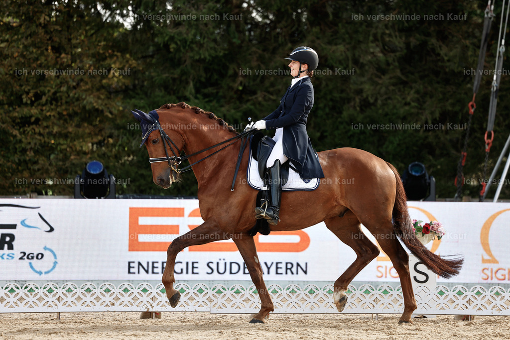 6-143-AMATUER-DRESSUR S_  -StoibPH-3421 | working equitationturnier fotograf videograf stoibphotography marixx film working equitation deutschland reitsport turnierfotografie eventfotografie equestrian events