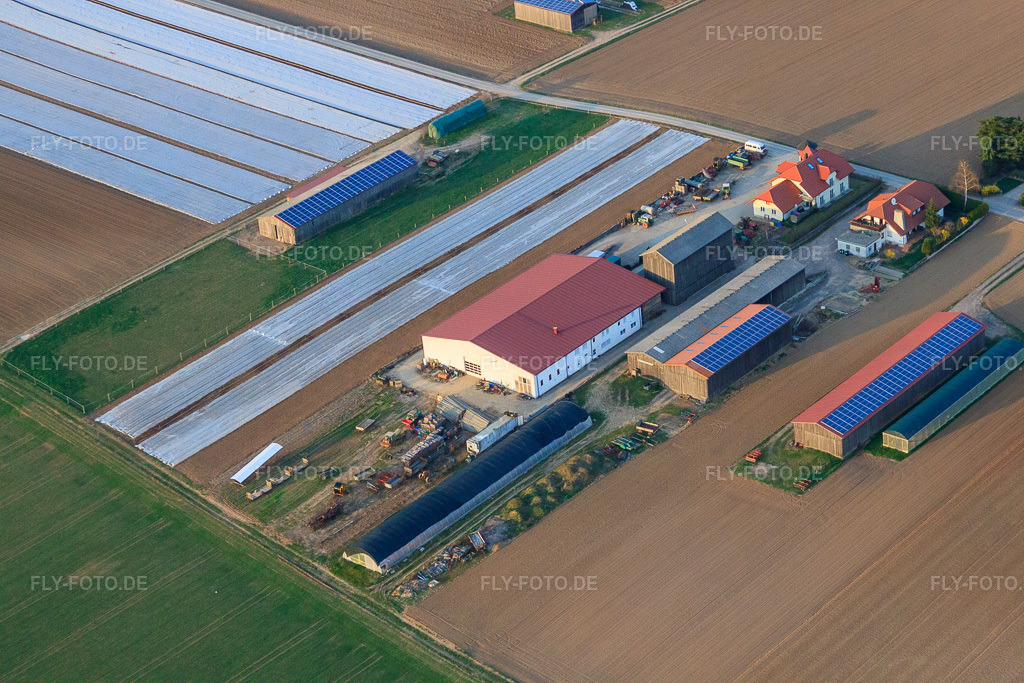 Luftbild: Landwirt Kerner Andreas in Am Wingertsberg in Herxheim bei Landau im Bundesland Rheinland-Pfalz in Deutschland. Foto: IMG_38928.jpg vom 25.03.2011 durch Werner Riehm/FLY-FOTO.de